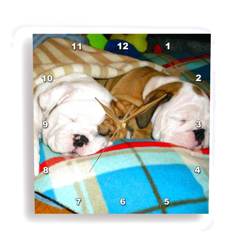 3dRose DPP_51655_1 English Bulldog Powernap Wall Clock, 10 by 10-Inch