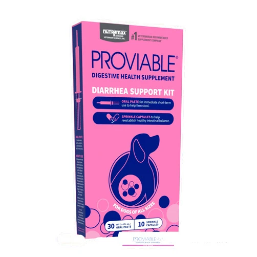 Nutramax Laboratories Proviable Digestive Health Supplement Kit with Multi-Strain Probiotics and Prebiotics for Medium to Large Dogs - with 7 Strains of Bacteria, 30 mL Paste and 10 Capsules