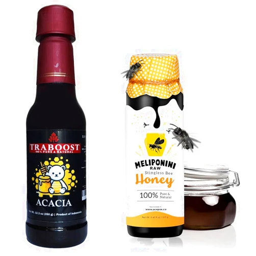 MELIPONINI HONEY Meliponini Stingless Bee Honey 250ML with TraBoost Acacia Black Honey Jambi Indonesia 350ML