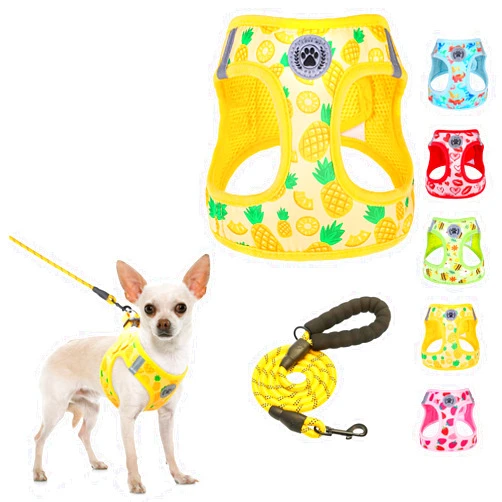 BEAUTYZOO Step in Dog Harness and Leash Set,Reflective Dog Harness No Pull No Choke Puppy Harness for Small Medium Large Dogs Cats,Soft Padded Mesh Vest Harnesses for Girl and Boy Pets, Pineapple S