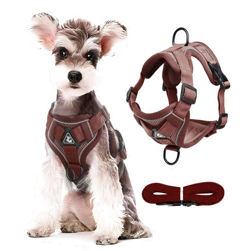 JOYPAWS No Pull Dog Harnes with 5FT Dog Basic Leash, Breathable Soft Sandwich Air Mesh, Triangle Stable Ring, Reflective Stripes, Lightweight Pet Vest Harness for Small Dogs Cats Kitten Chocolate S