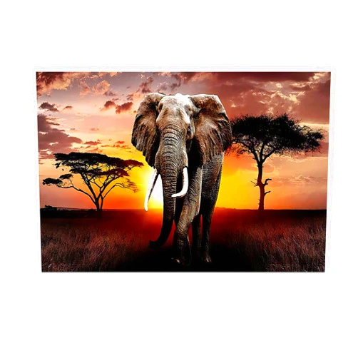 XXMWallArt FC3069 Canvas Wall Art Elephant Picture African Wild Animals Artwork Painting Print for Living Room Bedroom Kitchen Home and Office Wall Decor