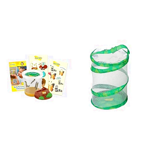 Insect Lore Cup of Caterpillars with Mini Butterfly Habitat - Pop Up Port A Bug
