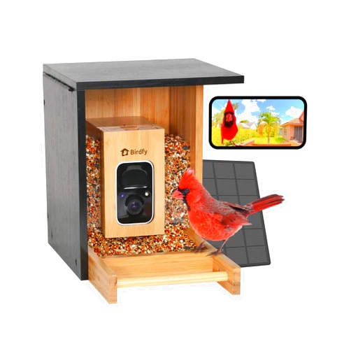 Birdfy Smart Bird Feeder with Camera, High-End Bamboo, Solar Powered, 2K HD Live Stream, Auto Capture Birds & Notify in Time, AI Recognition, Ideal Present for Bird-Watching&Learning