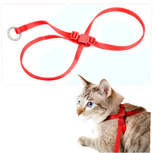 BuddyArmor Cat Harness, IDA Awarding, Escape-Proof Anti-Choking Harness Nylon & Lightweight Anodized Aluminum Training Harness Adjustable for Cats Outdoor Walking (Vivid Red, M (35.4 inch))