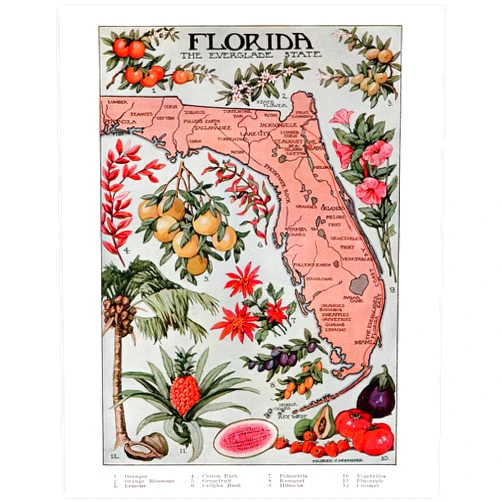 YELLOWBIRD ART & DESIGN Florida Map Vintage Wall Art 11x14 - Retro Florida State Poster Botanical Illustrations, Colorful Citrus Fruit Everglades State Artwork, Nostalgic Home Decor, Tropical Wall Art for Living Room