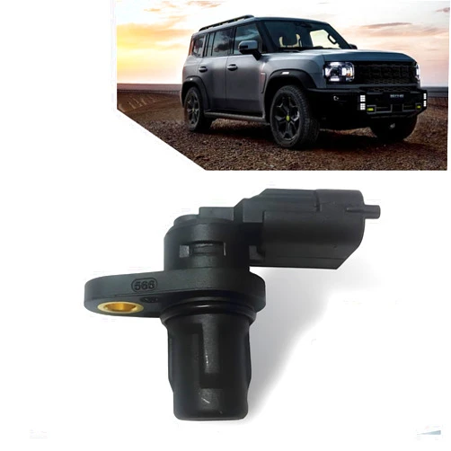 Slykew 1 Pack Car Camshaft Position Sensor with Sealing Ring, Waterproof Vehicle Position Sensor for EPC Fault Light, Replacement Part OEM Number #F01R00B003 Compatible with Chery Models (Black)
