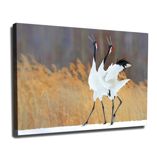 ObabO Winter Countryside Farm Sandhill Crane Bird Nature Animals Poster Picture HD Wall Art Canvas Print Aesthetic Artwork for Bedroom Living Room Decor (Unframed,8x12inch)