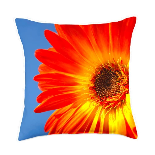 TAYEGU Daisies Flowers Floral Orange Gerber Floral Flowers Daisies Gerbera Throw Pillow, 18x18, Multicolor