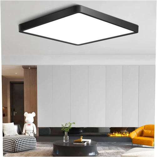 LightingWill 12Inch 24W Square LED Ceiling Light Fixtures Flush Mount, 5000K Daylight White LED Ceiling Lamp, Surface Mount Modern Ceiling Lights, Black Slim Flat Panel Lighting for Bedroom, Kitchen, Bathroom Etc
