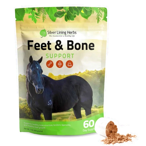 Silver Lining Herbs Feet & Bone Support Horse Supplement Powder Natural Tendons, Ligaments & Surrounding Tissues & Hoof Supplement for Horses - Normal Limbs Circulation Horse Care Supplies - 1 LB