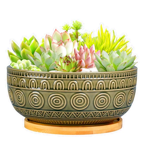 Eightpot 8 Inch Ceramic Succulent Planter Pot with Drainage Hole and Saucer Round Shallow Planter for Indoor Plants, Gray-Green