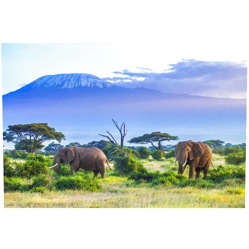 Poster Foundry Majestic Elephant Couple Mount Kilimanjaro Volcano Tanzania Africa Animals Grazing Photo Photograph Colorful Landscape Cool Wall Art Print Poster 18x12