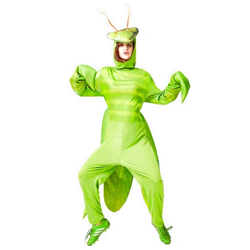 JYZCOS Praying Mantis Costume for Adult Men Women Insect Bug Fancy Dress