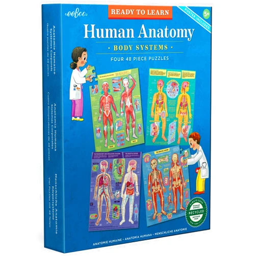 eeBoo: Ready to Learn: Human Anatomy 4-Puzzles - Body Systems Set of 4-48 Piece Jigsaws, Includes Educational Poster, Kids Ages 8+