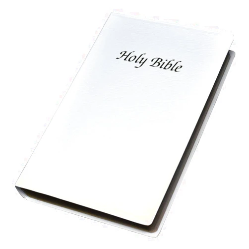 World Catholic Press The New American Bible with Revised Book of Psalms and Revised new Testament. Catholic