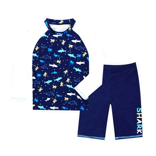 ZHIZAIHU Little Boys Swimsuit 2Pcs Rash Guard Long Sleeve Swimming Shirt Tops with Shorts Set Summer Swimsuit