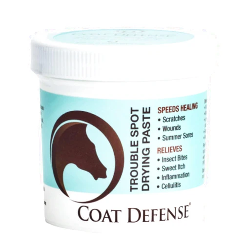 COAT DEFENSE Trouble Spot Drying Paste for Horses - Natural Equine Wound Care That Provides Safe & Effective Relief from Scratches, Sweet Itch, Summer Sores, Proud Flesh, Mud Fever, Girth Rot (10 Oz)