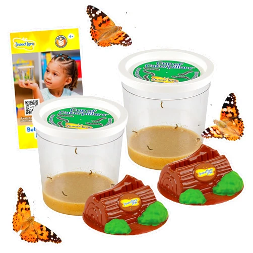 Insect Lore Two Cups of Live Caterpillars | Painted Lady Butterflies | Includes 2 Chrysalis Holding Logs | 10 Live Baby Caterpillars | Refill for Habitats and Kits
