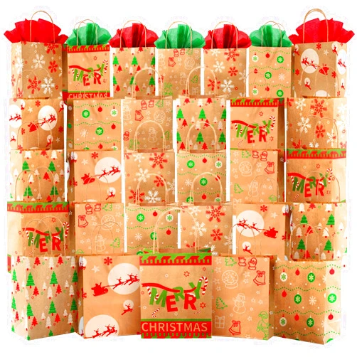 Kidtion 30 PCS Christmas Gift Bags - 6 Styles with Tissue Paper and Handles, 7.5