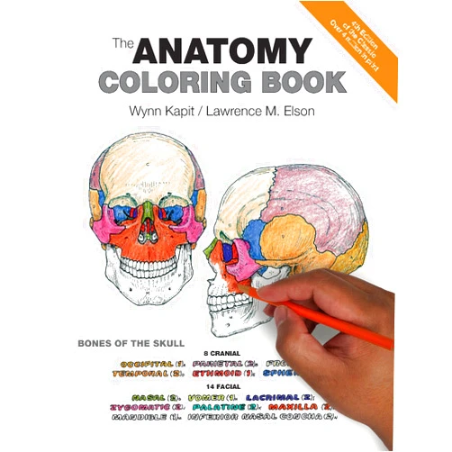 By Wynn Kapit (Author), Lawrence M. Elson (Author) Anatomy Coloring Book, The