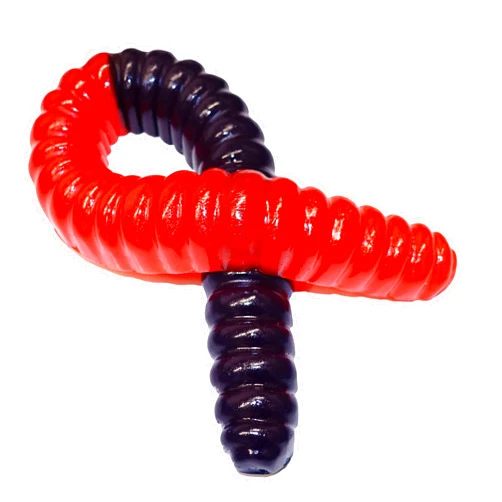 The Gummy Bear Guy | World's Largest Gummy Worm - (Blue Raspberry/Orange)