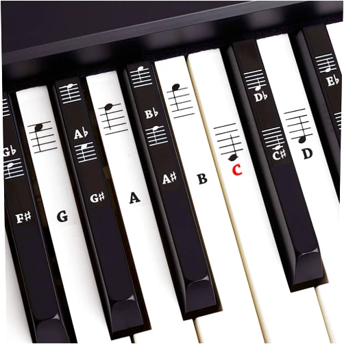 Belfort Piano + Keyboard Sheet Music Stickers for 49 | 61 | 76 | 88 Keys + Ebook | Piano Sticker Complete Set for Black + White Keys | C-D-E-F-G-A-B