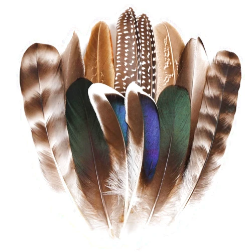 MehelloFeather Natural Pheasant Feathers 12Pcs Bulk Feathers 6 Style for DIY Crafts Hat Floral Arrangements Holiday Decoration