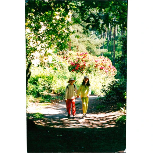 Vintage photo of Shering hall park hausing hotels and break rainbow:katherine brim and amy fawers.