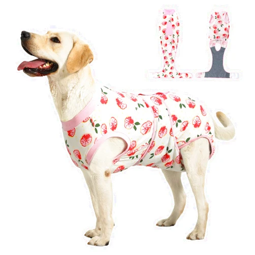 OPAW Recovery Suit for Dogs Cats After Surgery, E-Collar & Cone Alternative Surgical Suit, Prevent Licking Dog Onesies Pet Surgery Recovery Suit Soft Dog Bodysuit, Pink, M