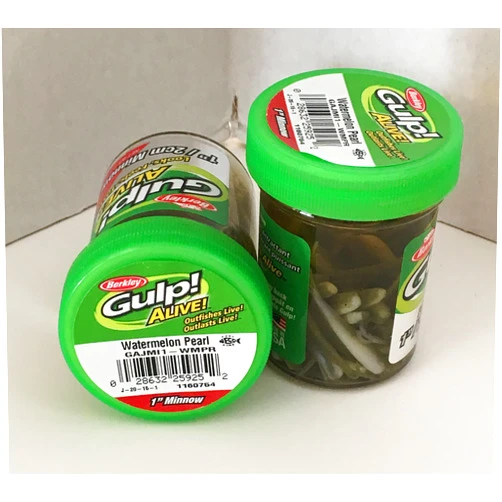 Gulp! Alive! Gulp Bait 1 INCH Watermelon Pearl Minnow 2 jar Bundle Berkley gulp Alive Perch Minnows ice Fishing Bait Panfish Minnows