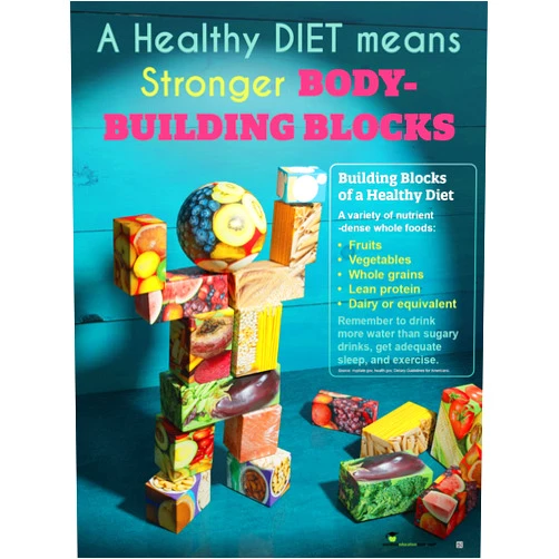 NutritionEducationStore.com Healthy Diet Makes Stronger Body Building Blocks 18