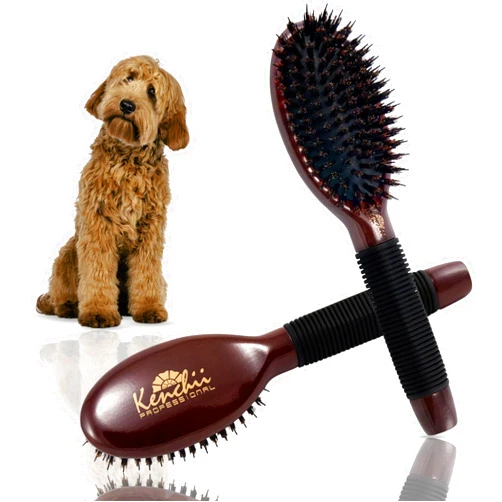 Kenchii Boar and Nylon Bristle Dog/Cat Grooming Brush with One-Piece Maple Body-Choose Size Large, Small (Small)