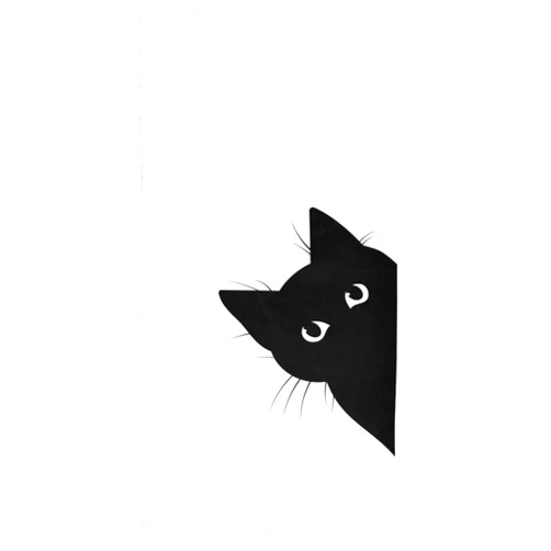 Vdsrup Black Cat Face Hand Bath Towel Shower Towels Fingertip Bathroom Towel Kitchen Dish Guest Towel Highly Absorbent Soft for Hand Face Gym Spa 30 X 15 Inch