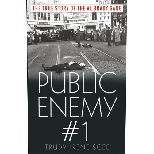 By Trudy Scee (Author) Public Enemy Number One