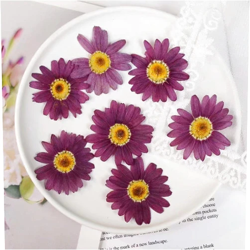 NeonNectar 36PCS Big Size Pressed Flowers for Resin Mold, Natural Dried Flowers for DIY,Scrapbooking Supplies,Candles,Mobile Phone Shells