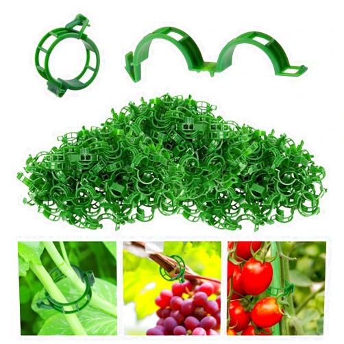 YURUIHKAO 100 Pcs Secured Plastic Plant Clip Reusable Tomato Trellis Clips 2024 Upgrade Plant Fixing Clips for Climbing Plants (Green)