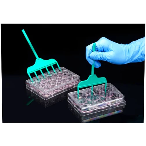 SPL Life Sciences SPLScar Scratcher 24 Well Lip with 1 mm Width tip Sterile Case of 20