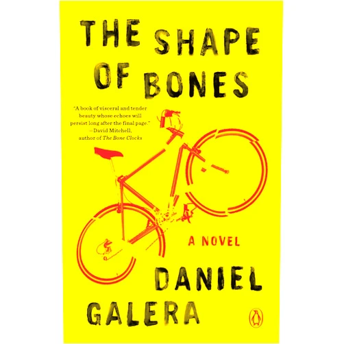 Daniel Galera,Alison Entrekin The Shape of Bones: A Novel