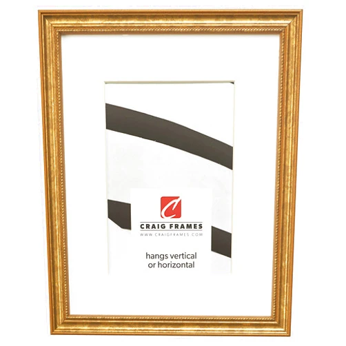 Craig Frames 314GD 16 x 20 Inch Ornate Gold Picture Frame Matted to Display a 11 x 14 Inch Photo