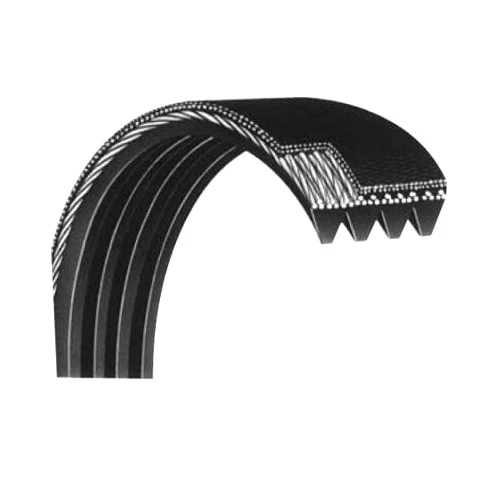 ICON FITNESS H.F Exchange Jason Flexonic Motor Belt 23