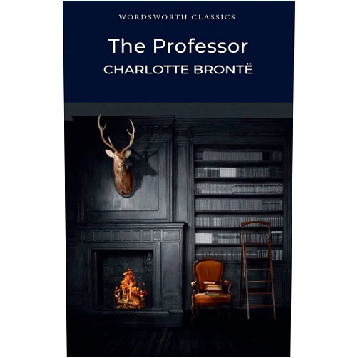Charlotte Bronte Professor (Wordsworth Classics)