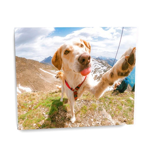 DROLLX Custom Metal Print Your Photo on Aluminum Metal Personalized Picture Prints Custom Photo Gift Wall Art Ready to Hang (8