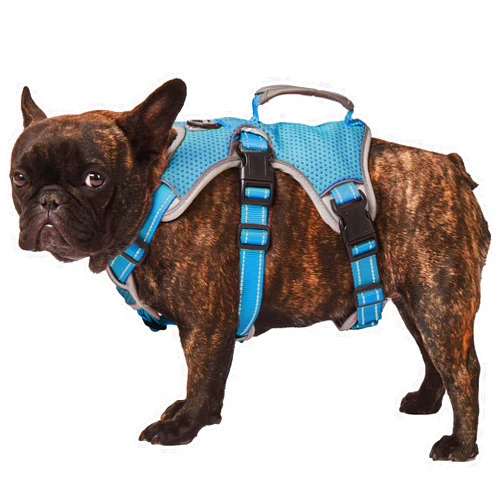 PAWORLD No Escape Dog Harness, Escape Proof Harness, Fully Reflective Harness with Padded Handle, Breathable,Durable, Adjustable Vest for Medium Dogs Walking, Training, and Running Gear (Blue, M)