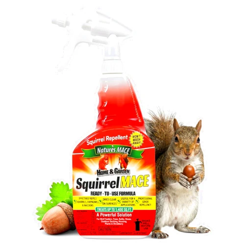 Nature's Mace Squirrel Mace, Squirrel Repellent Outdoor, 40 Ounce Spray, Squirrel and Chipmunk Repellent, Keep Squirrels Out of Your Garden, Attic, Bird Feeders, Fruit Trees, Plants, Potted Plants