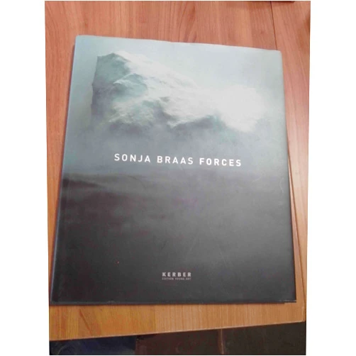 Thomas Seelig,Susanne Pfleger,Sonja Braas Sonja Braas: Forces