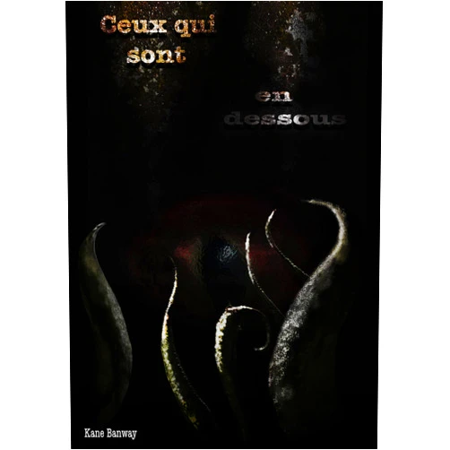French Edition by Kane Banway (Author) Format: Kindle Edition Ceux qui sont en-dessous (French Edition)