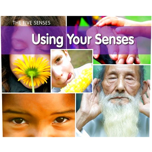 By Rebecca Rissman (Author) Using Your Senses (Five Senses (Heinemann Paperback))