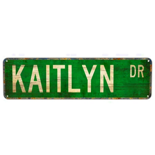 FAQOIR Street sign Kaitlyn Kaitlyn Sign Kaitlyn Gift Kaitlyn Lover Child Street Sign Indoor Outdoor Funny Home Decor for Garages Living Rooms Bedroom Offices Wall Decor 16 x 4inch