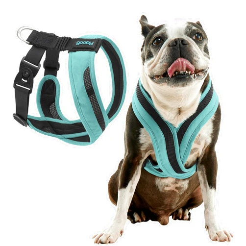 Gooby Comfort X One Dog Harness - Head-in Dog Harness for Small & Medium Sized Dogs - Escape-Free & Choke Free - Breathable Mesh, Shock Absorbing, Easy Snap & Swivel Buckles - Seattle Blue, Large